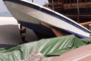 Barchino Silent Craft baby