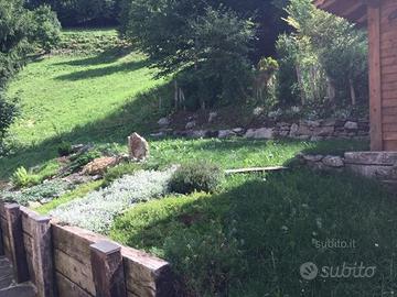 Lizzola appartamento