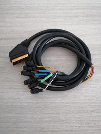 Presa scart con video e audio in e out RCA