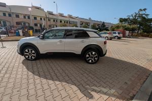 C4 CACTUS 