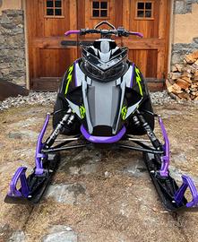motoslitta Arctic Cat Alpha 2019
