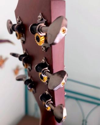 Chitarra Acustica Customized