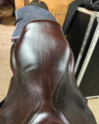 sella CWD 17 marrone