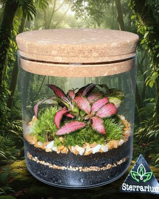 Terrarium by Sterrarium 🦋 