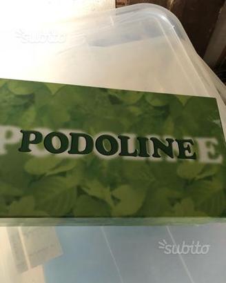 Scarpe sanitarie podoline
