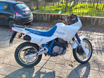 Dominator Anno 1992 Iscritto Registro Storico FMI