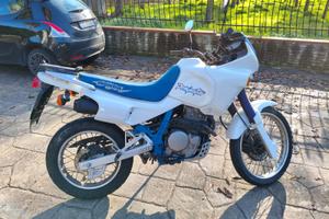 Dominator Anno 1992 Iscritto Registro Storico FMI