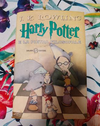 Harry Potter pietra filosofale 1edizione e traduzi