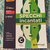 Libro: Specchi Incantati