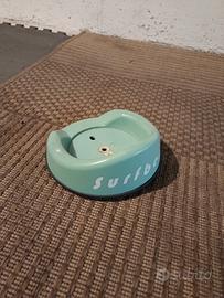 surf bent paraprua windsurf 