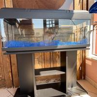 Acquario completo di supporto