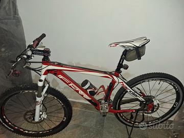 Frw in carbonio (26)