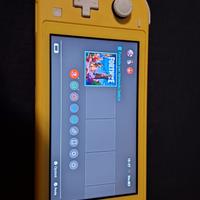 Nintendo switch lite