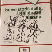 Breve storia della resistenza  italiana 