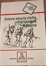 Breve storia della resistenza  italiana 