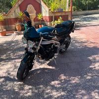 Triumph Speed triple 955i