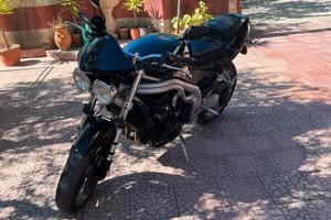 Triumph Speed triple 955i