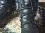 Immagine 1