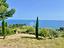 Immagine 7