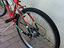 Immagine 5