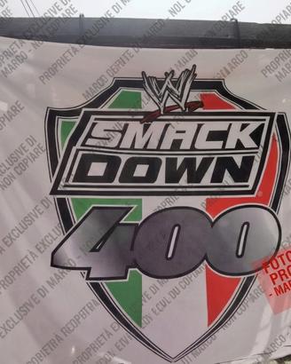 WWE Bandiera Originale 2007 - Ring-Used