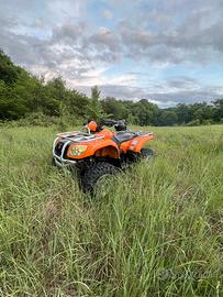 Quad WT Motors 500 4x4