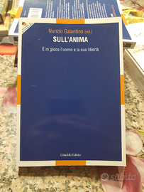 Sull'anima - N. Galantino e altri