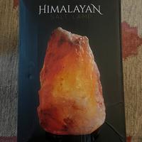 Himalayan salt lamp