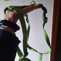 pettorine ad H trixie M e S