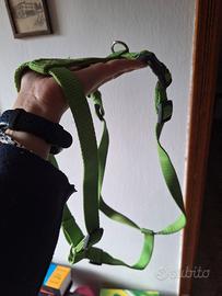 pettorine ad H trixie M e S