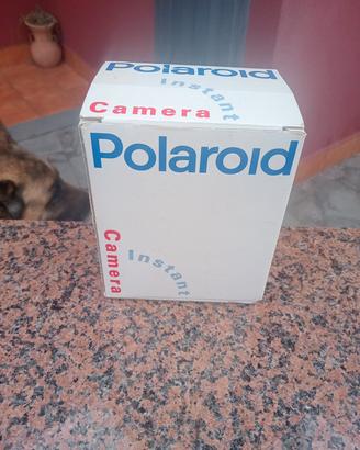 Polaroid 