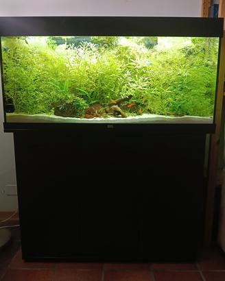 acquario Juwel 180 led