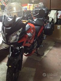 Suzuki VS 650 del 2009