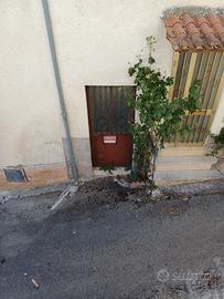 2 locali comunucanti