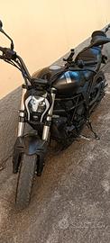 Moto  Benelli 502C