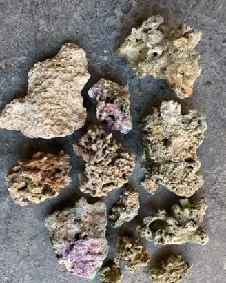 Pietre per acquario MARINO