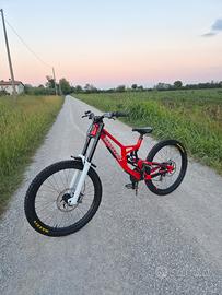 Santa cruz v10 