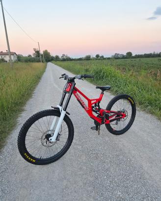 Santa cruz v10 
