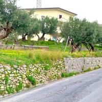 Casa indipendente su tre piani con ampio terreno