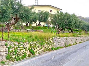 Casa indipendente su tre piani con ampio terreno