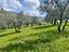 Immagine 18