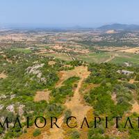 Terreno edificabile - Loiri Porto San Paolo