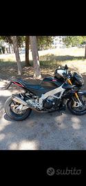 Tuono v4  2013