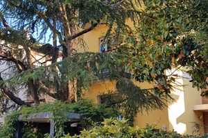 Borgo Roma - camera singola - solo studentesse