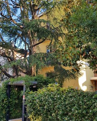 Borgo Roma - camera singola - solo studentesse