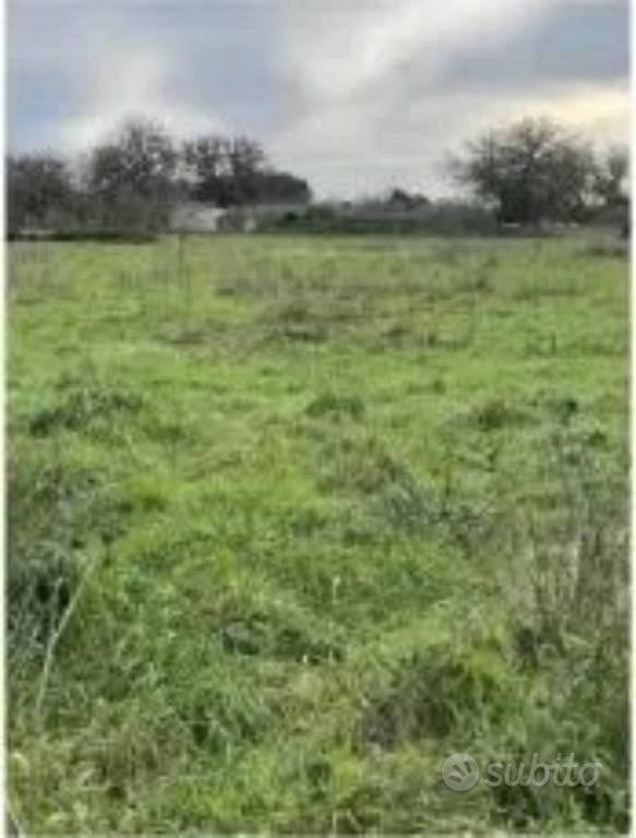 Immobile in asta di 26508 m² a Tricase - Vista 3