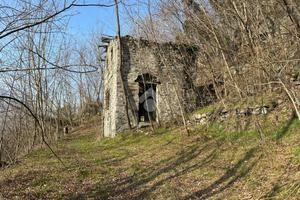 TER. AGRICOLO A BERBENNO DI VALTELLINA