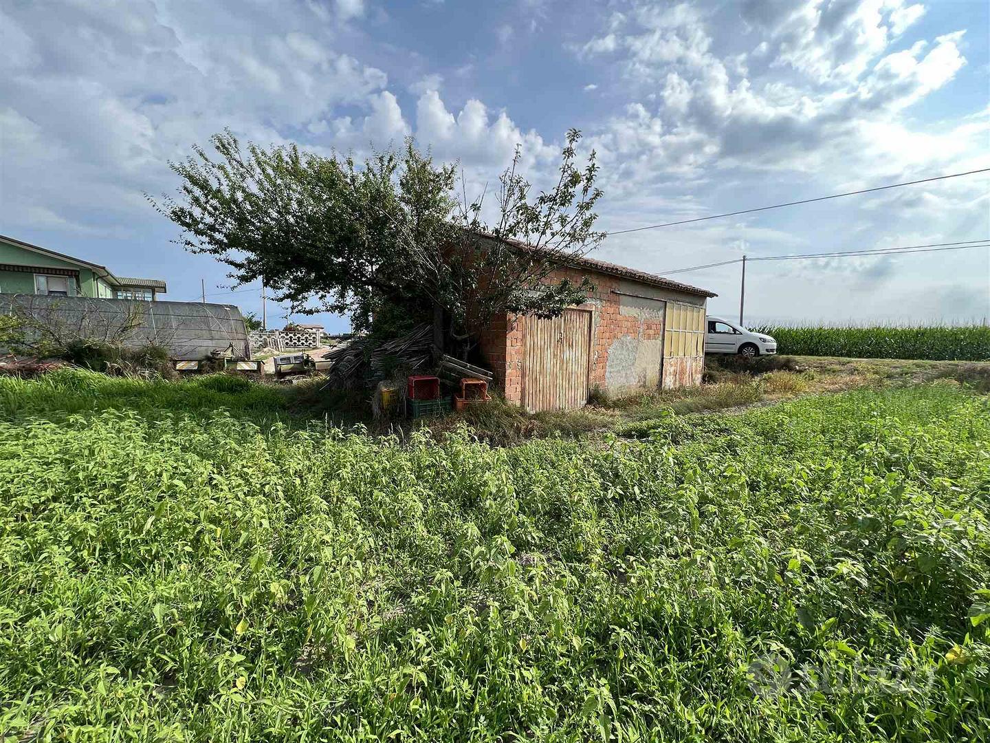 Rif.B463| terreno agricolo chioggia - Altro