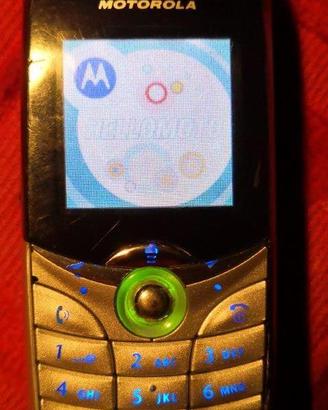 Motorola MC3 + Motorola MQ3