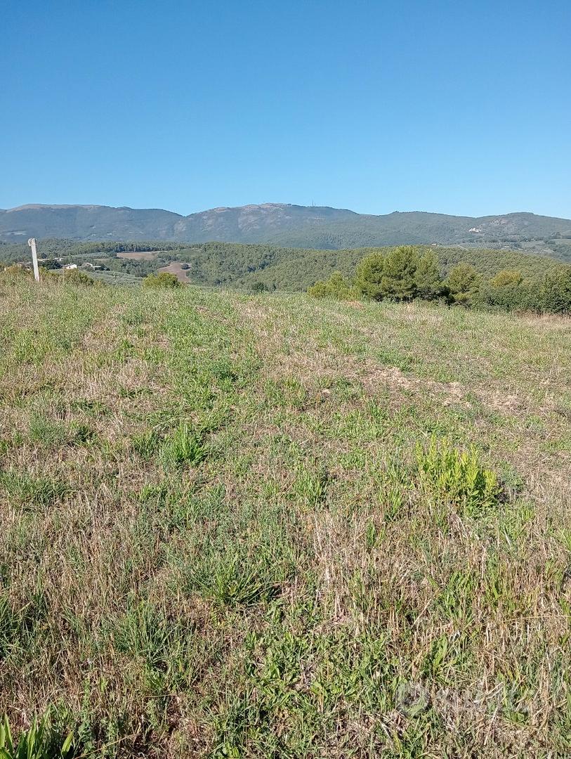 Terreno agricolo - Vista 2